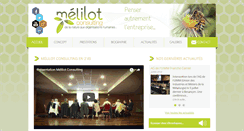Desktop Screenshot of melilotconsulting.com